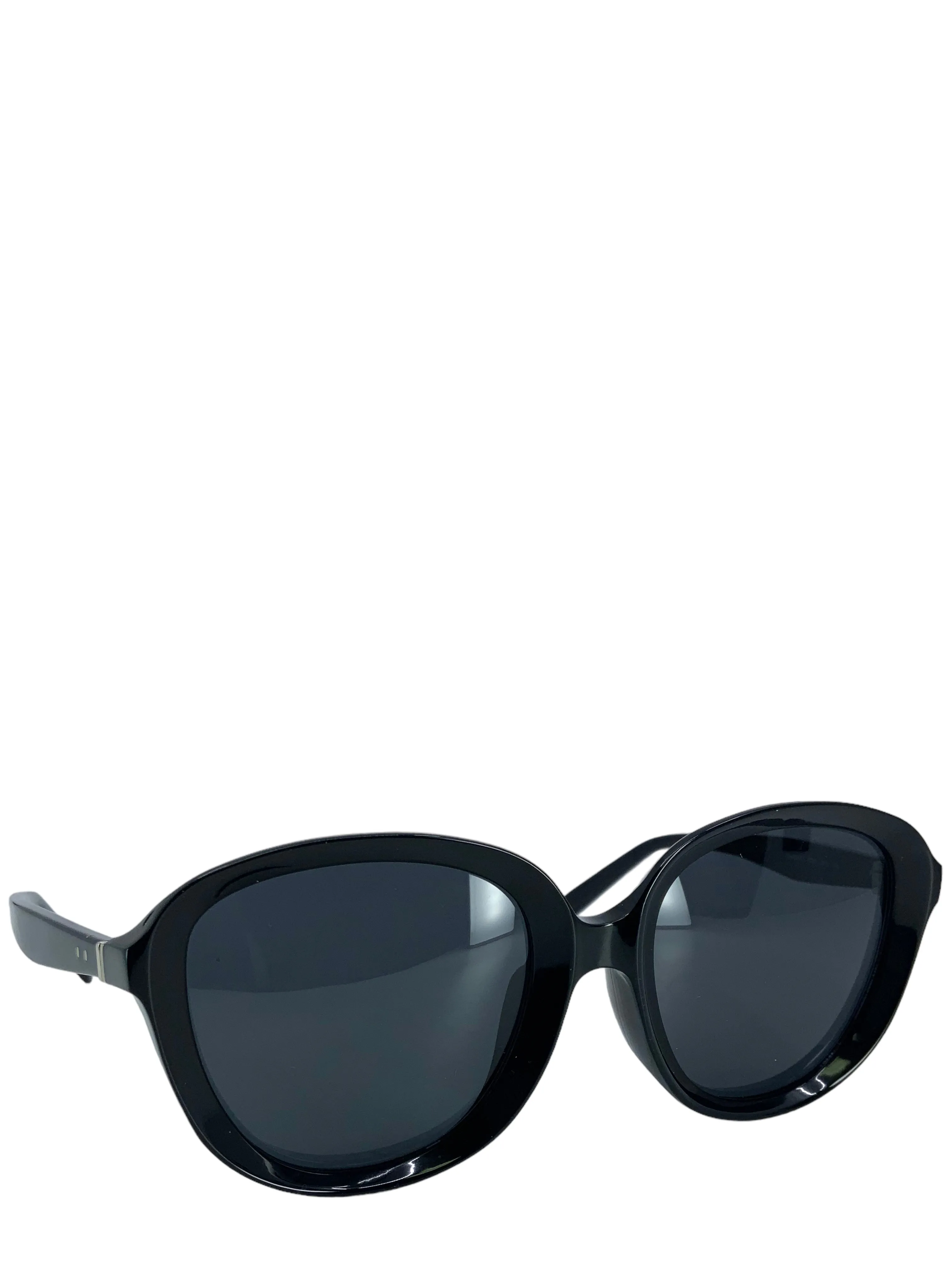 Celine Round Sunglasses CL 41453 F S