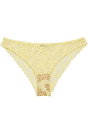 Seductive Brazilian Brief