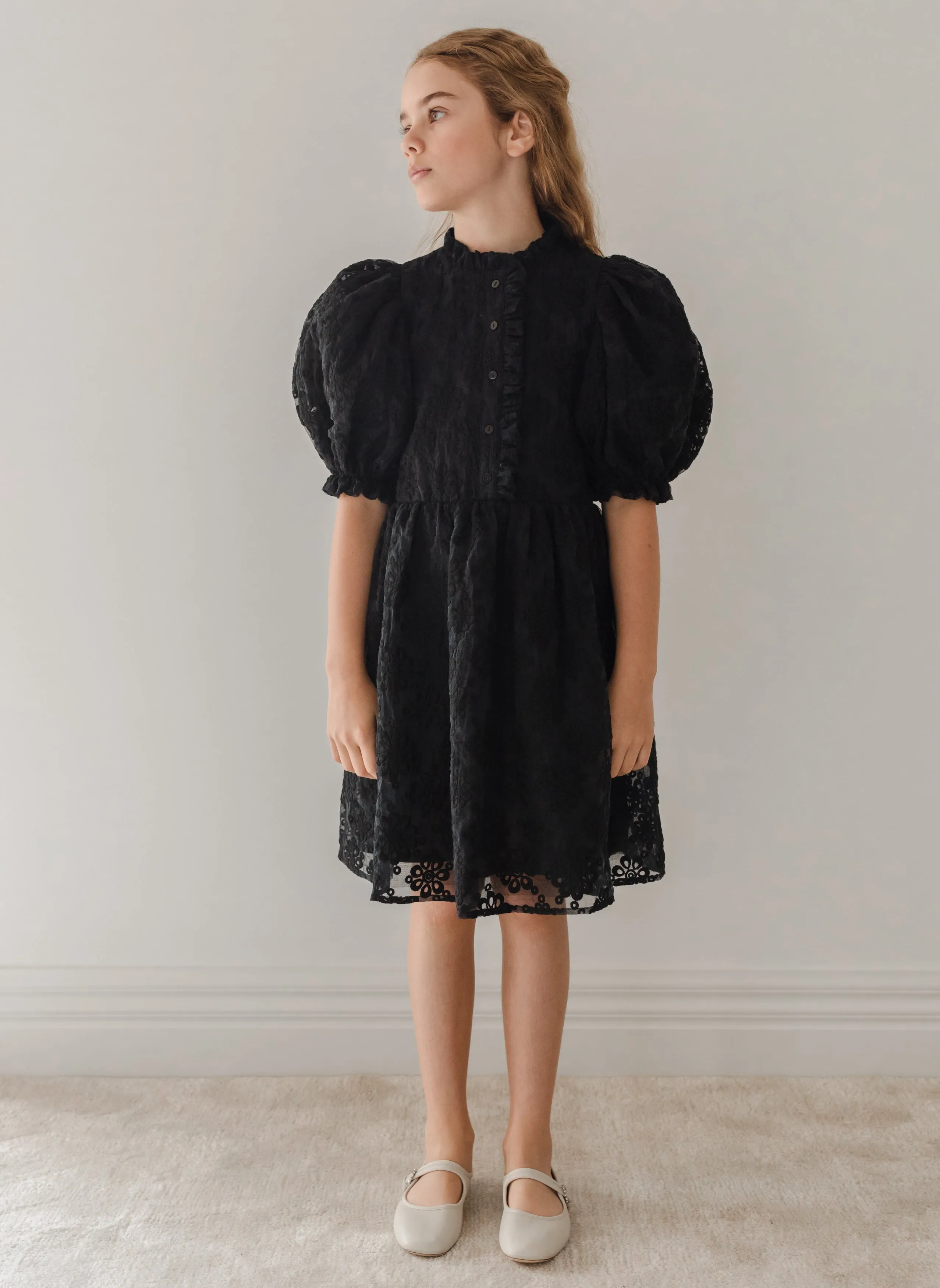 Embroidered Organza Black Dress