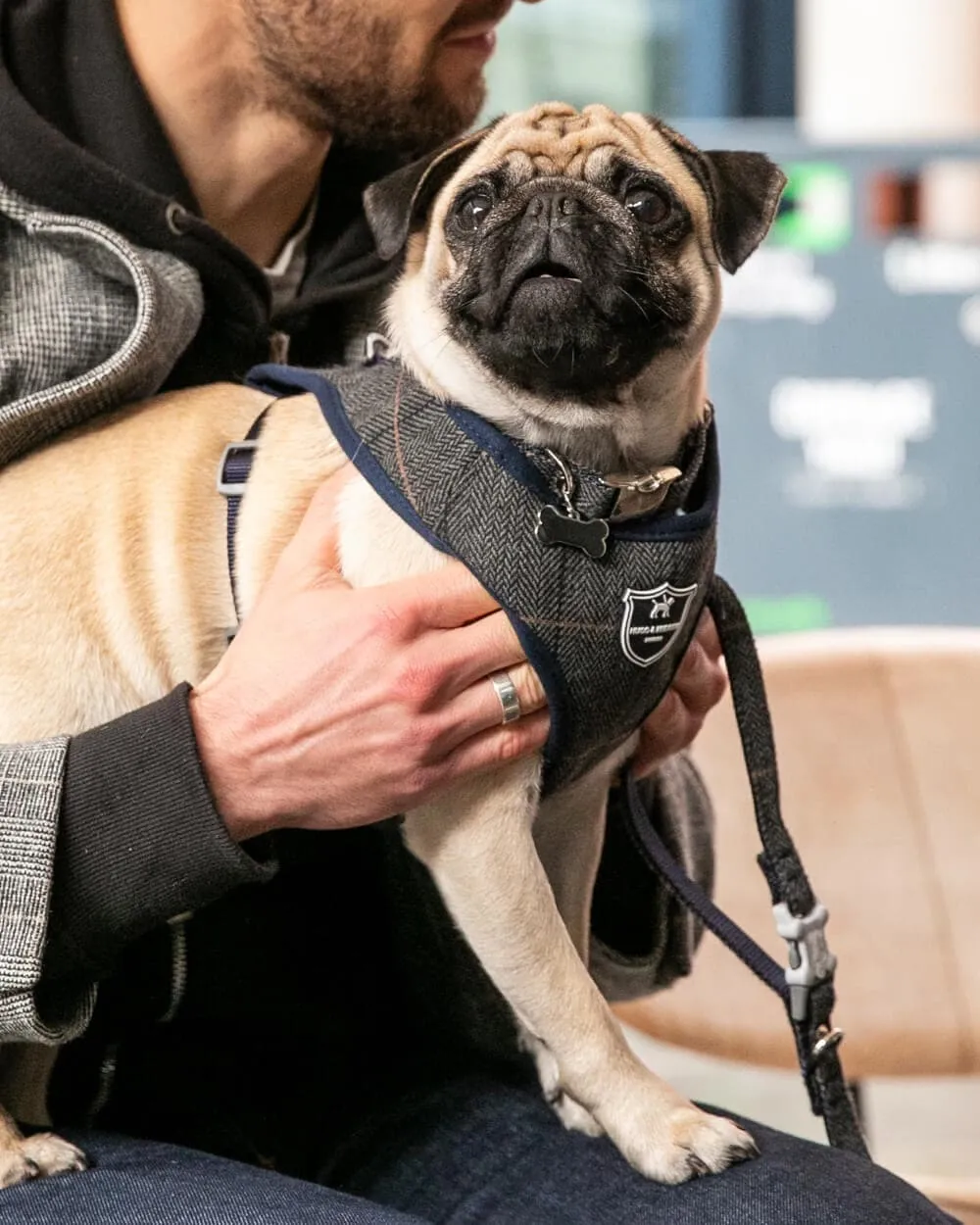 Buy Grey Checkered Herringbone Dog Harness